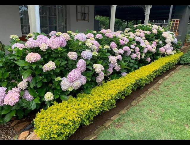 5 BEDROOM FREESTANDING FOR SALE IN CULLINAN